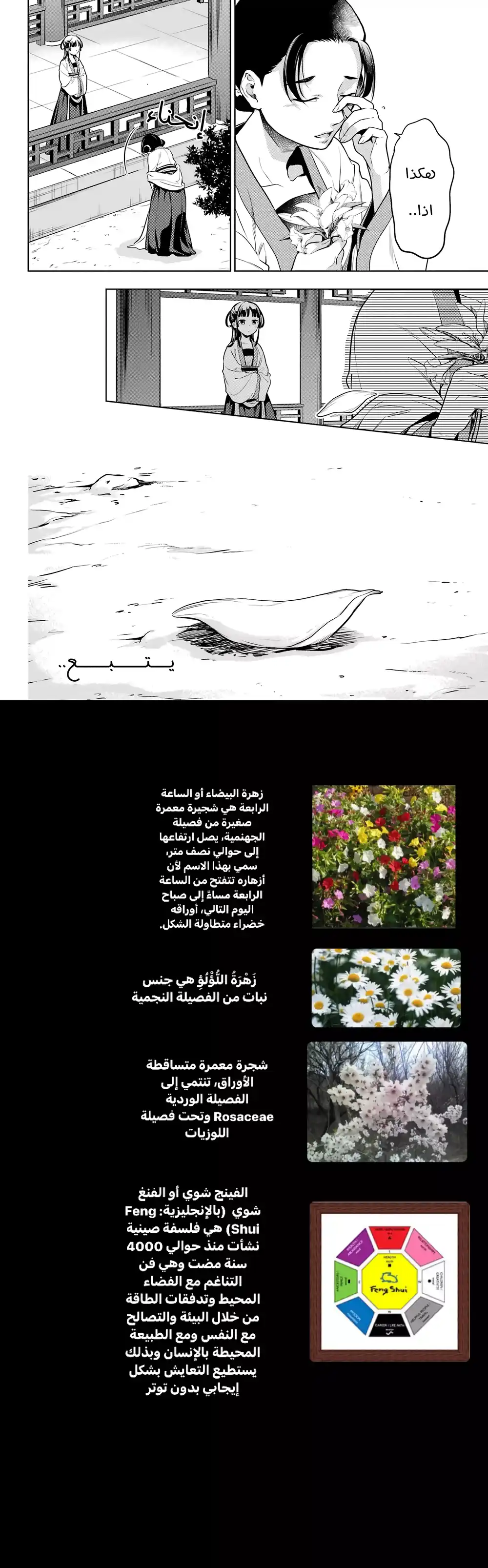 Kusuriya no Hitorigoto 52.2 - قصر الكريستال للمرة الثالثه الجزء الرابع página 9