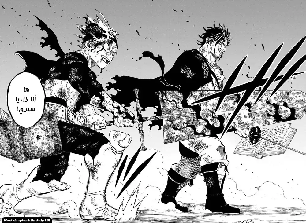 Black Clover 257 página 13