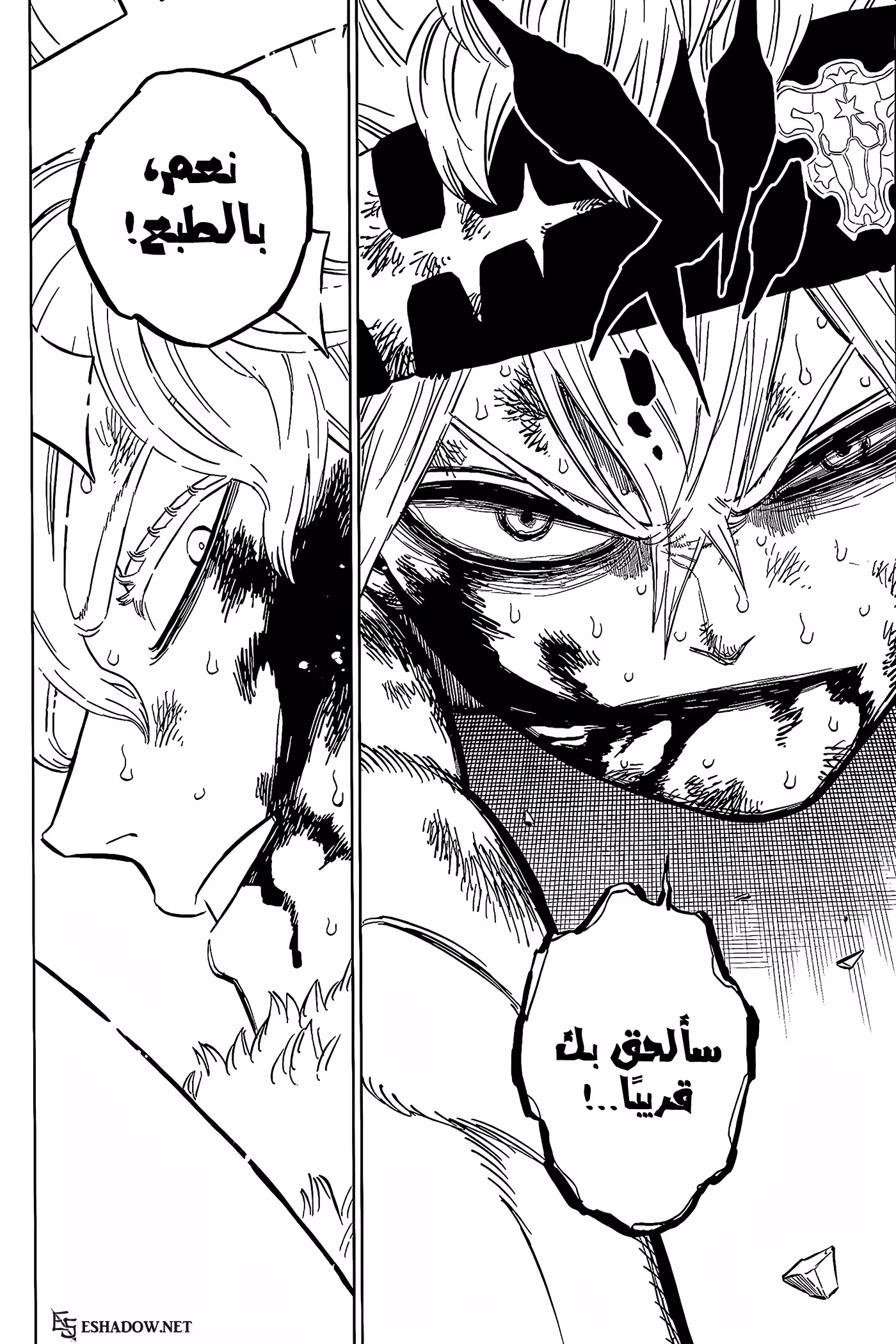 Black Clover 380 página 14