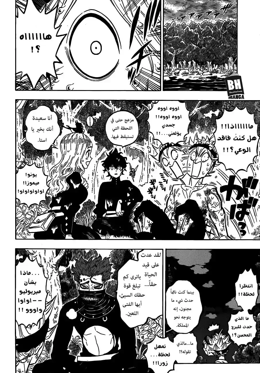 Black Clover 157 - مُفسدوا الدولة أم مُصلحوها página 11