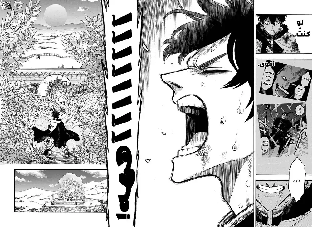 Black Clover 239 página 10