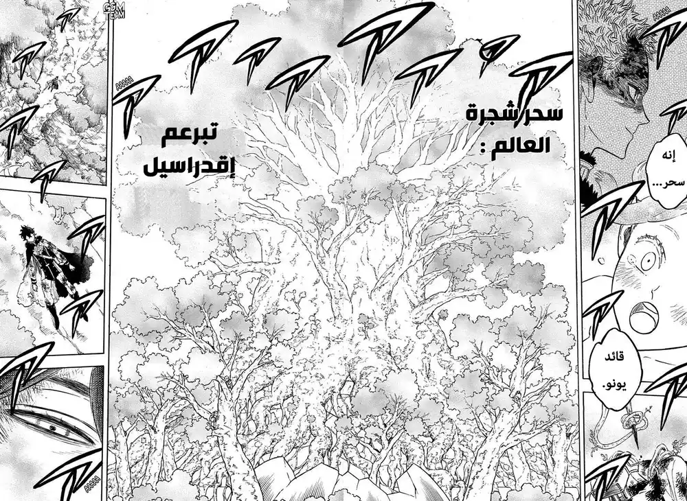 Black Clover 239 página 5