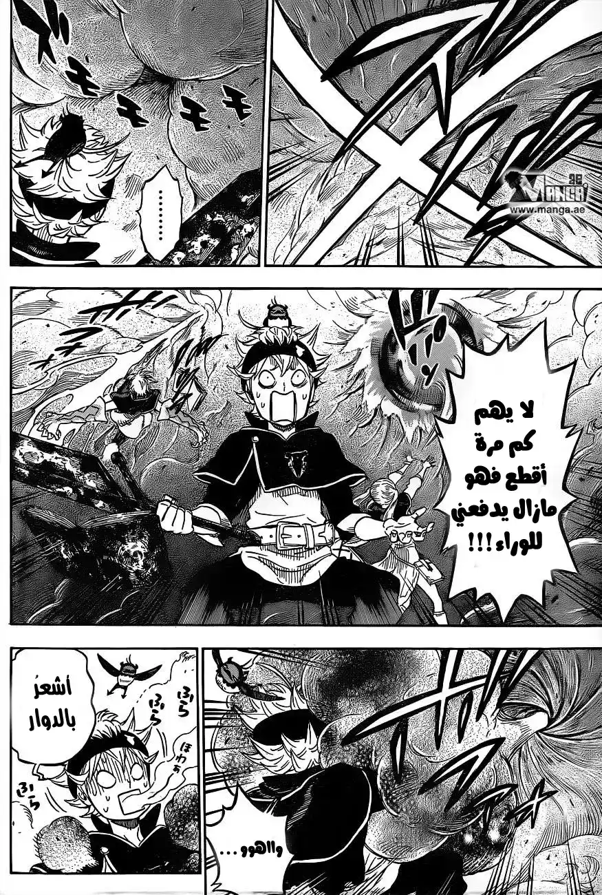 Black Clover 15 - نحن الثلاث página 13