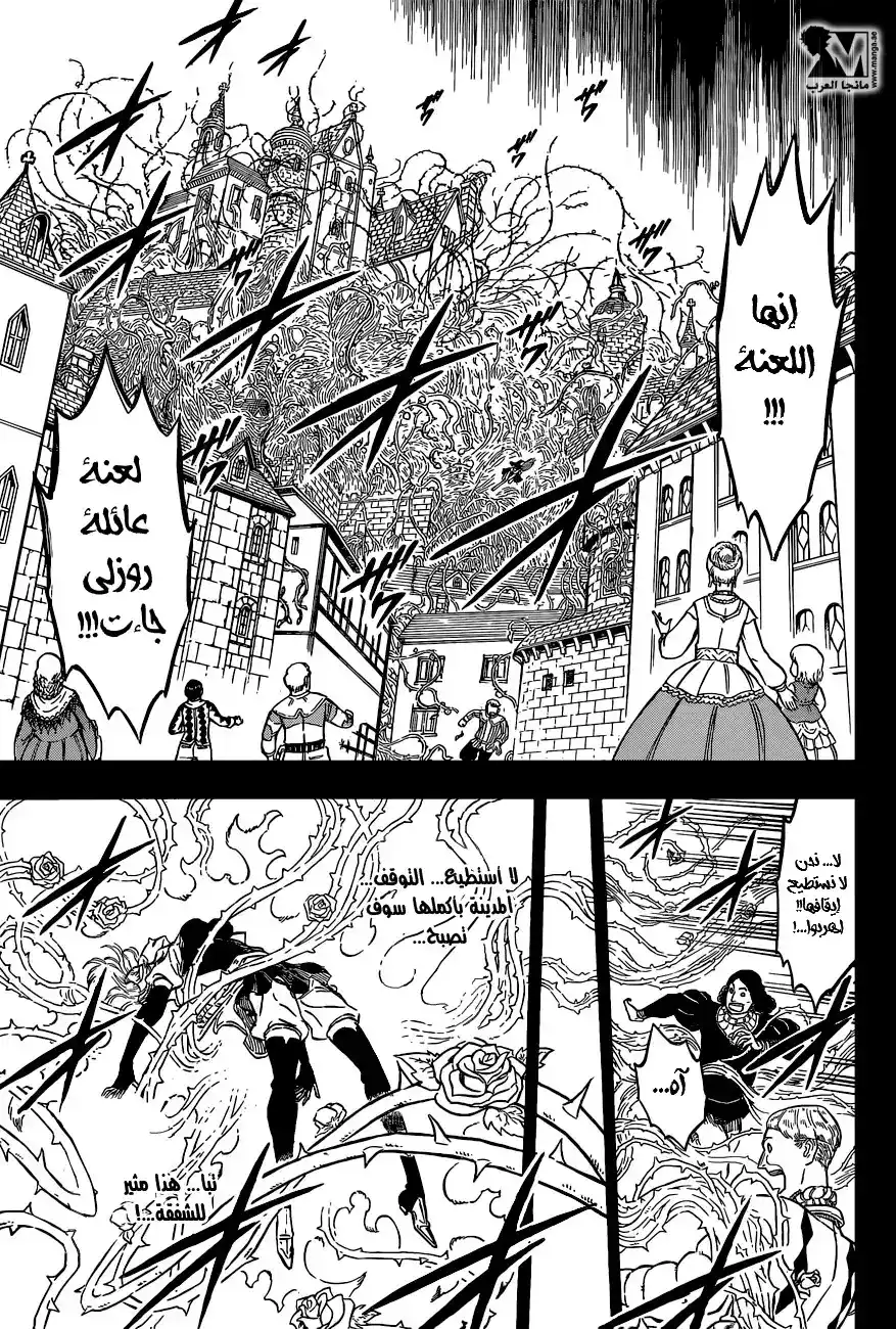 Black Clover 104 - حزن سيدة الشوك página 14