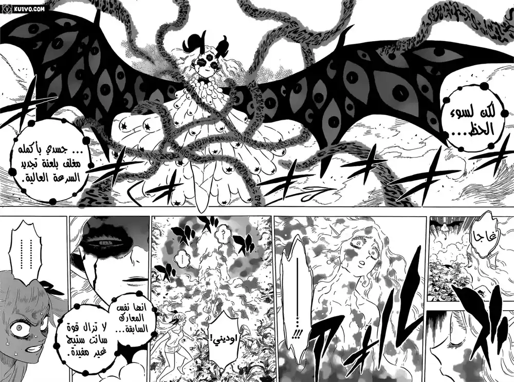 Black Clover 300 - ما وراء عدم الإستسلام página 3