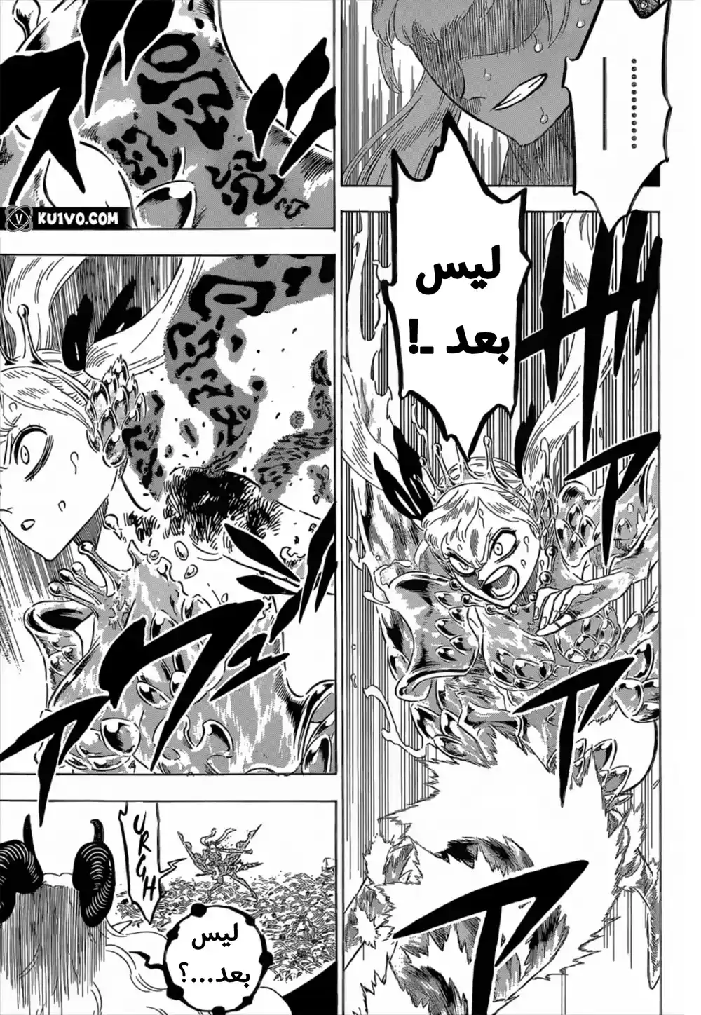 Black Clover 300 - ما وراء عدم الإستسلام página 5