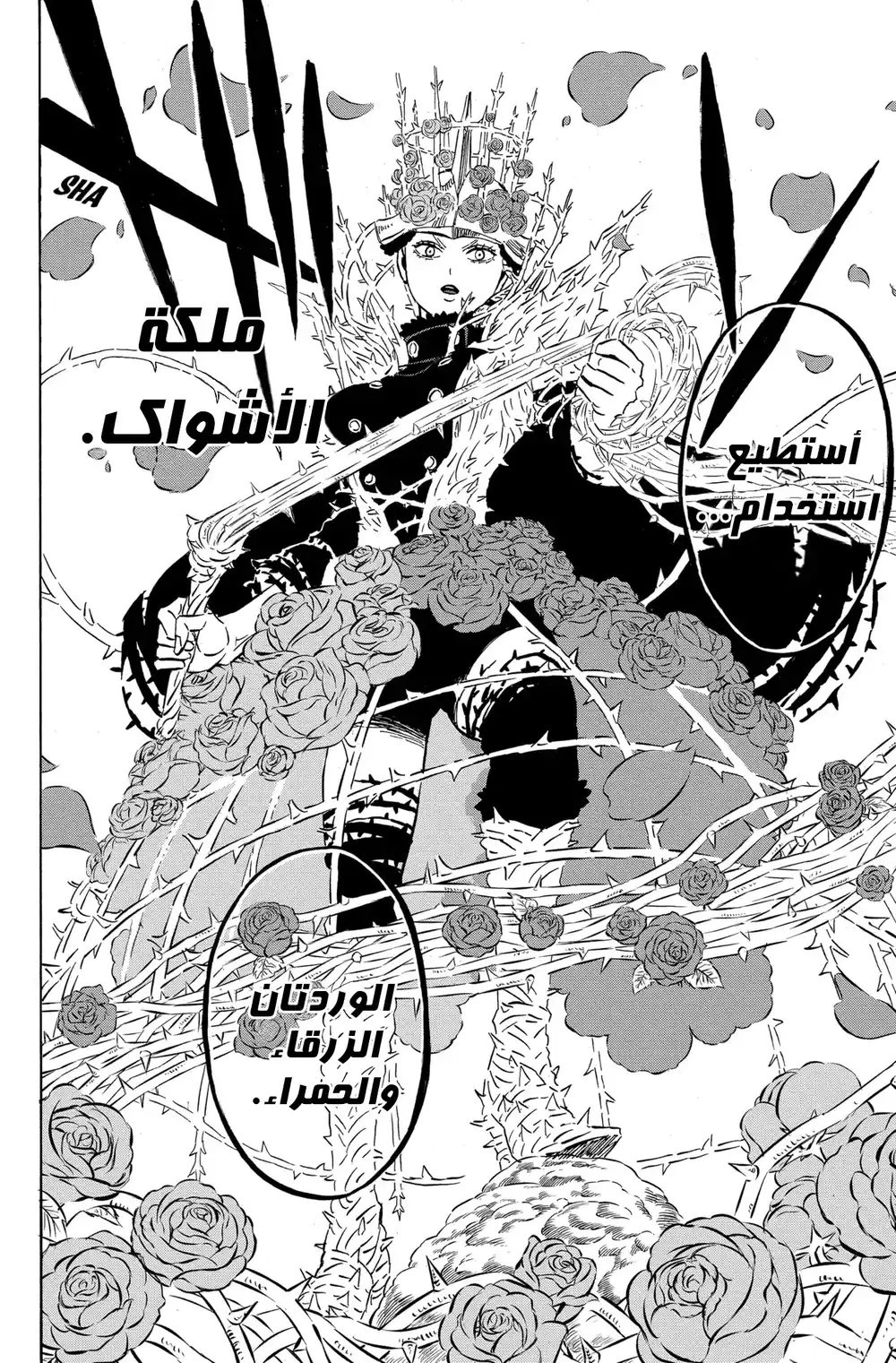 Black Clover 277 - نائب قائد الفجر الذهبي página 13