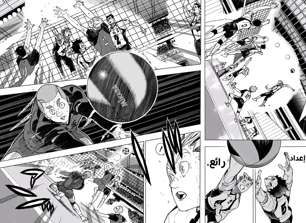 Haikyuu!! 337 - التالي página 2