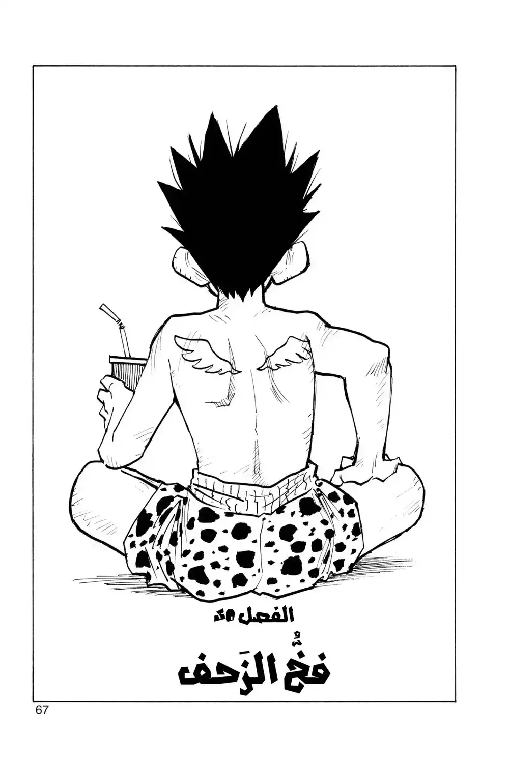 Hunter X Hunter 30 - فَخْ التلوّي página 3