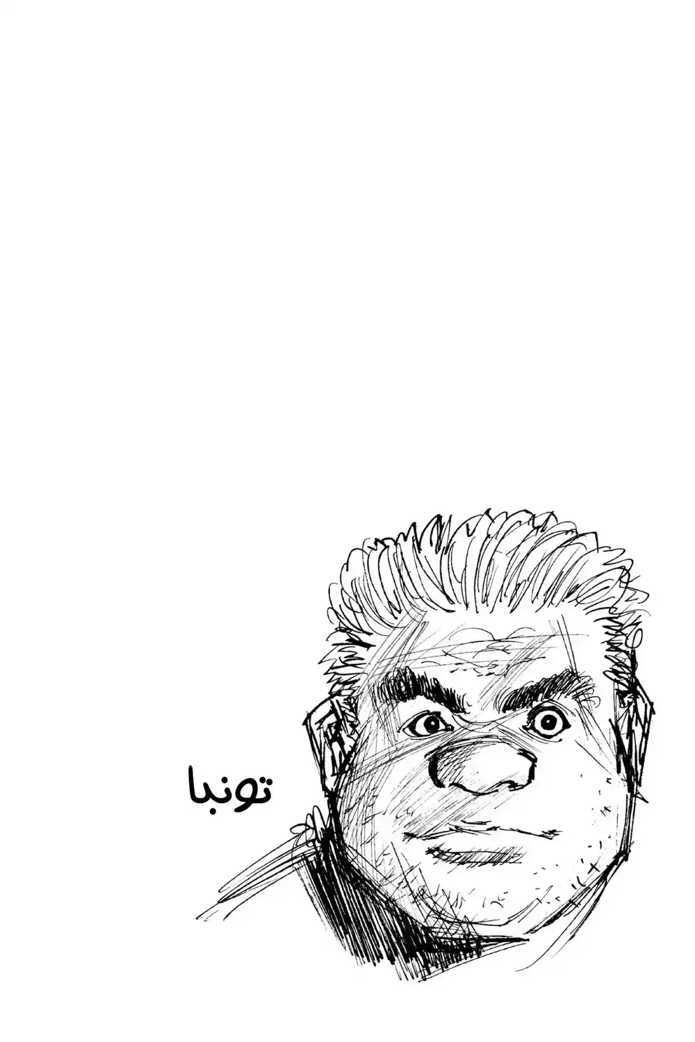 Hunter X Hunter 15 - مسار قرار الأغلبية página 2