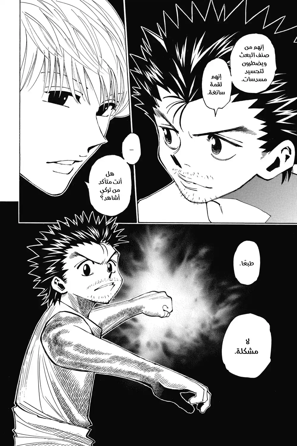 Hunter X Hunter 347 - تنصيب página 5