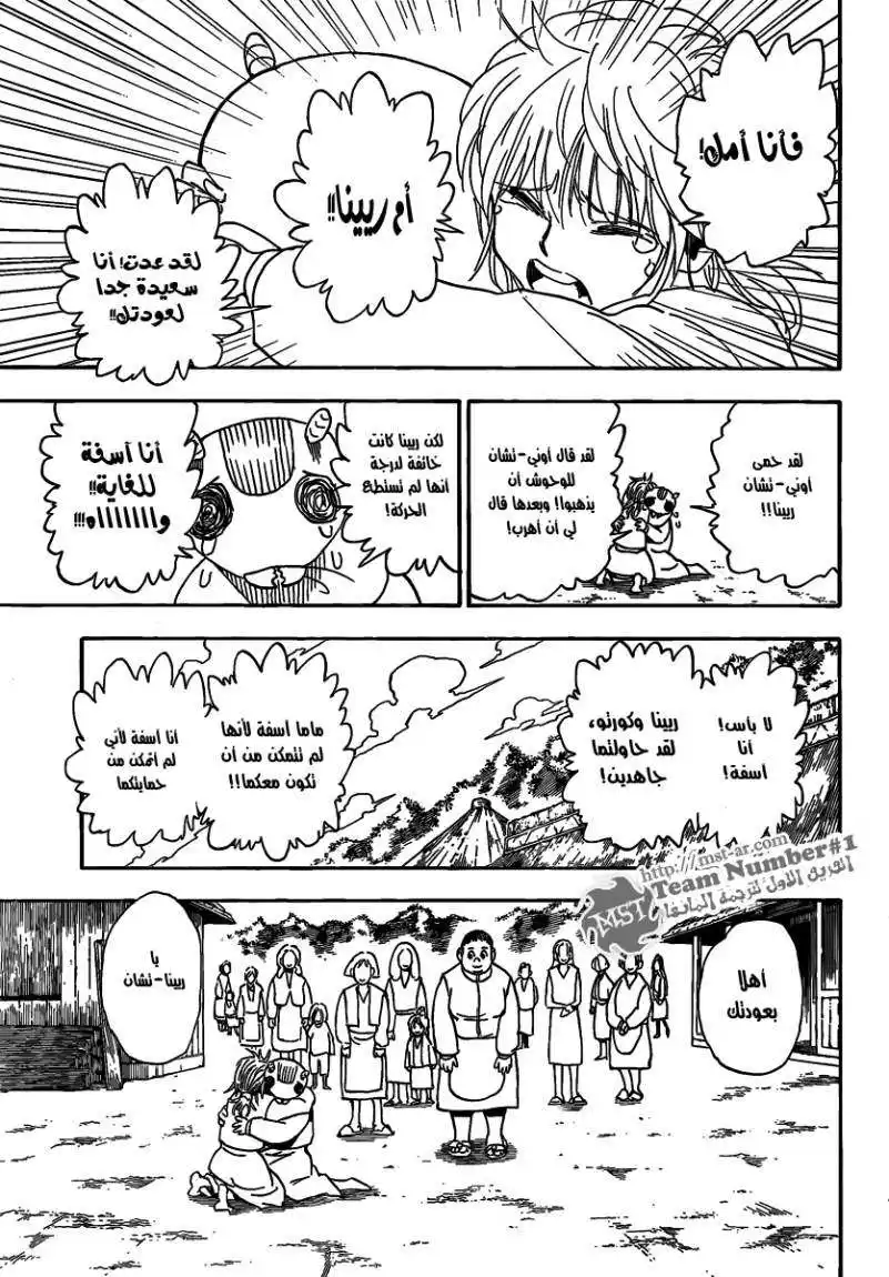 Hunter X Hunter 315 - Homecoming página 12