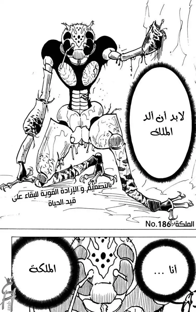 Hunter X Hunter 186 - الملِكة página 10