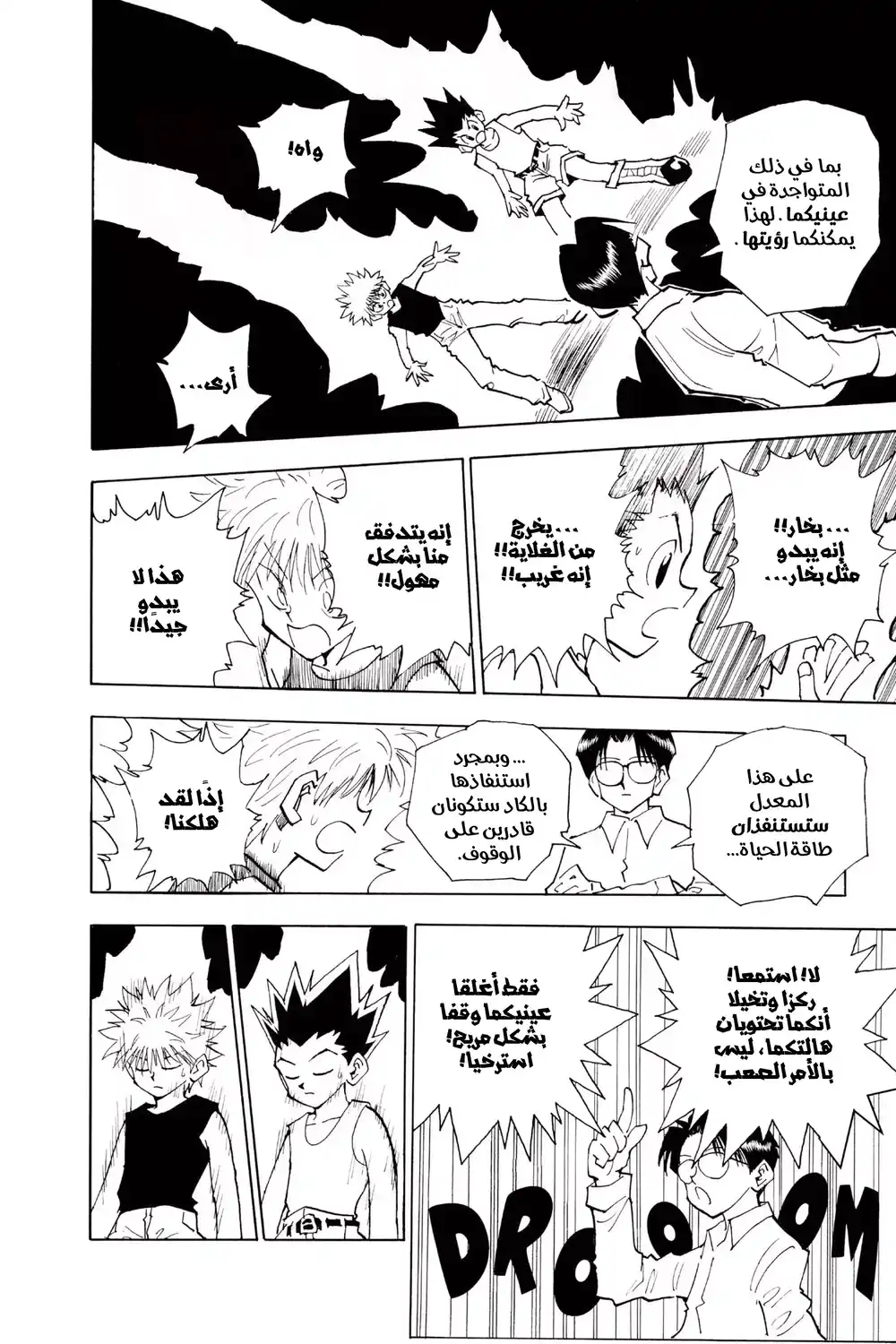 Hunter X Hunter 48 - شروط هيسوكا página 13