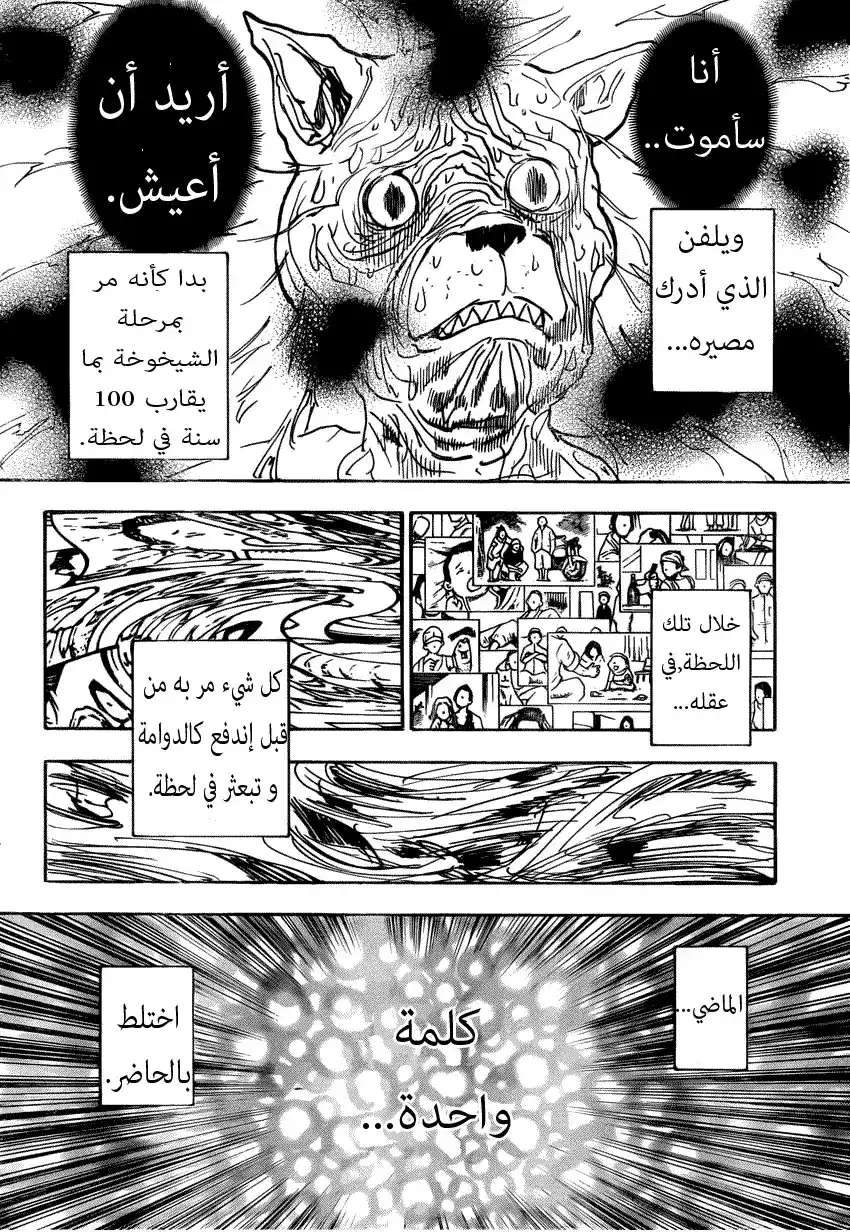 Hunter X Hunter 313 - A Single Word página 3