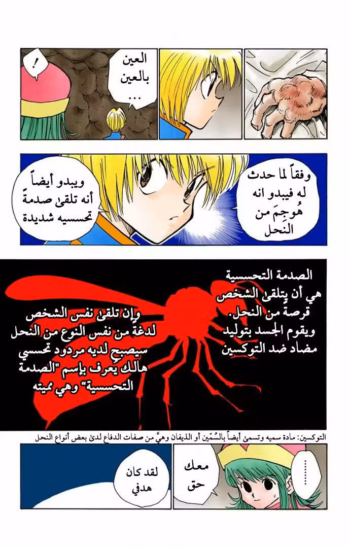 Hunter X Hunter 31 : 9 دقائق قبل الموت página 5