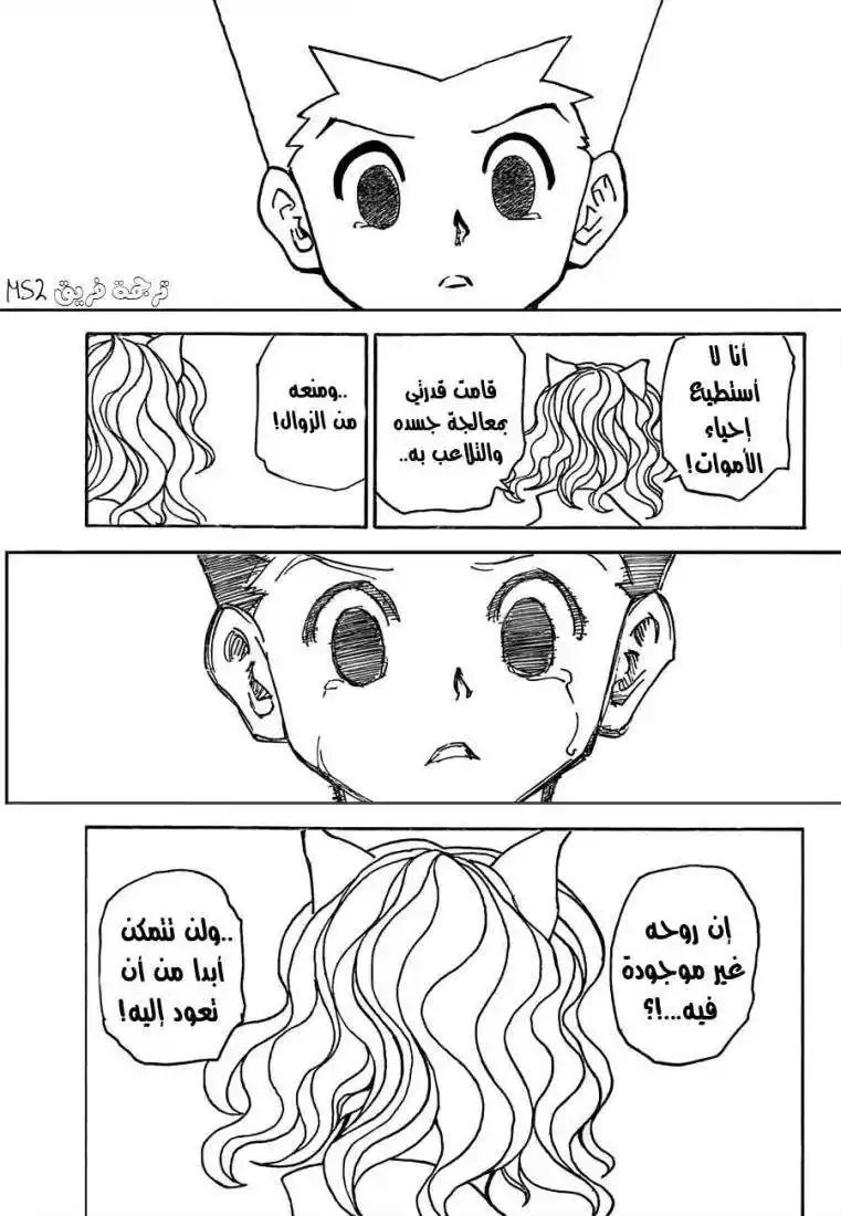 Hunter X Hunter 304 - Magic página 15