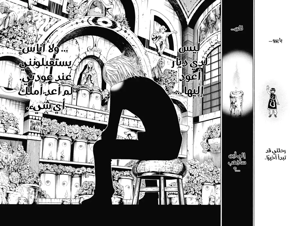 Hunter X Hunter 344 - الكاتب página 3