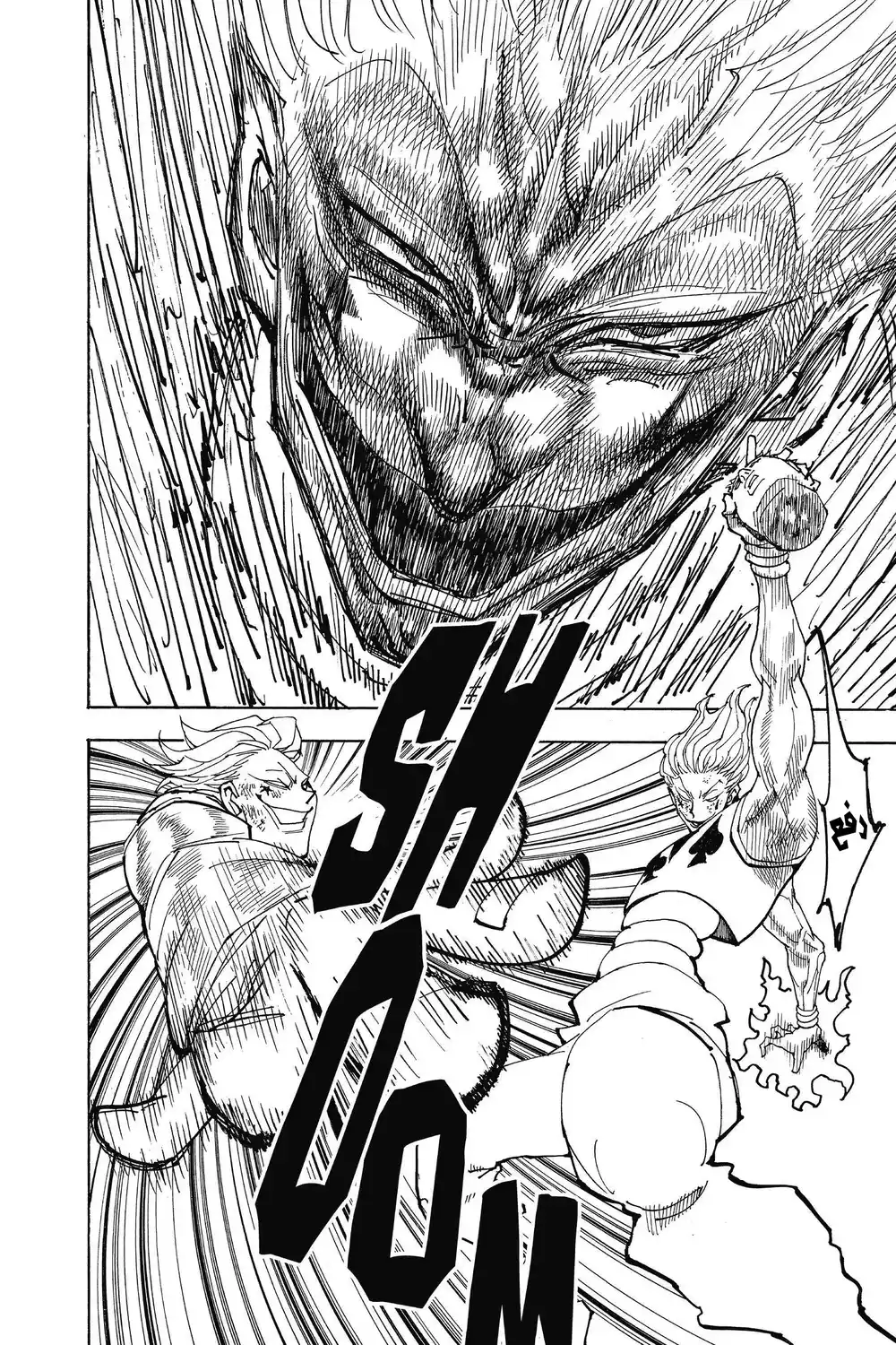 Hunter X Hunter 355 - اِنْفِجار página 10