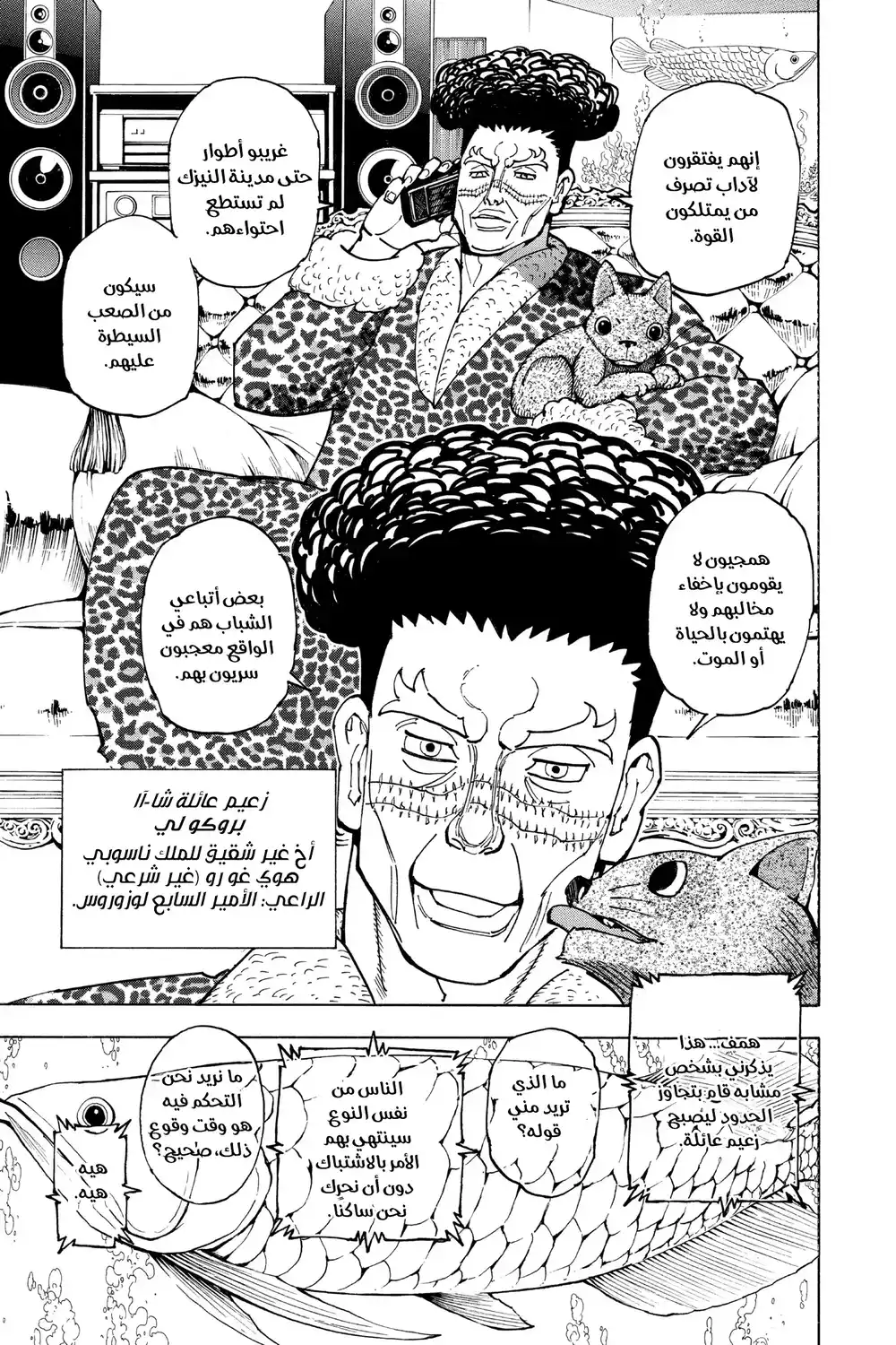 Hunter X Hunter 378 - توازن página 3