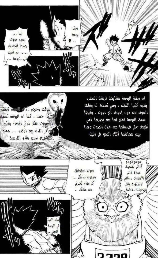 Hunter X Hunter 232 - 9: Part 3 página 4