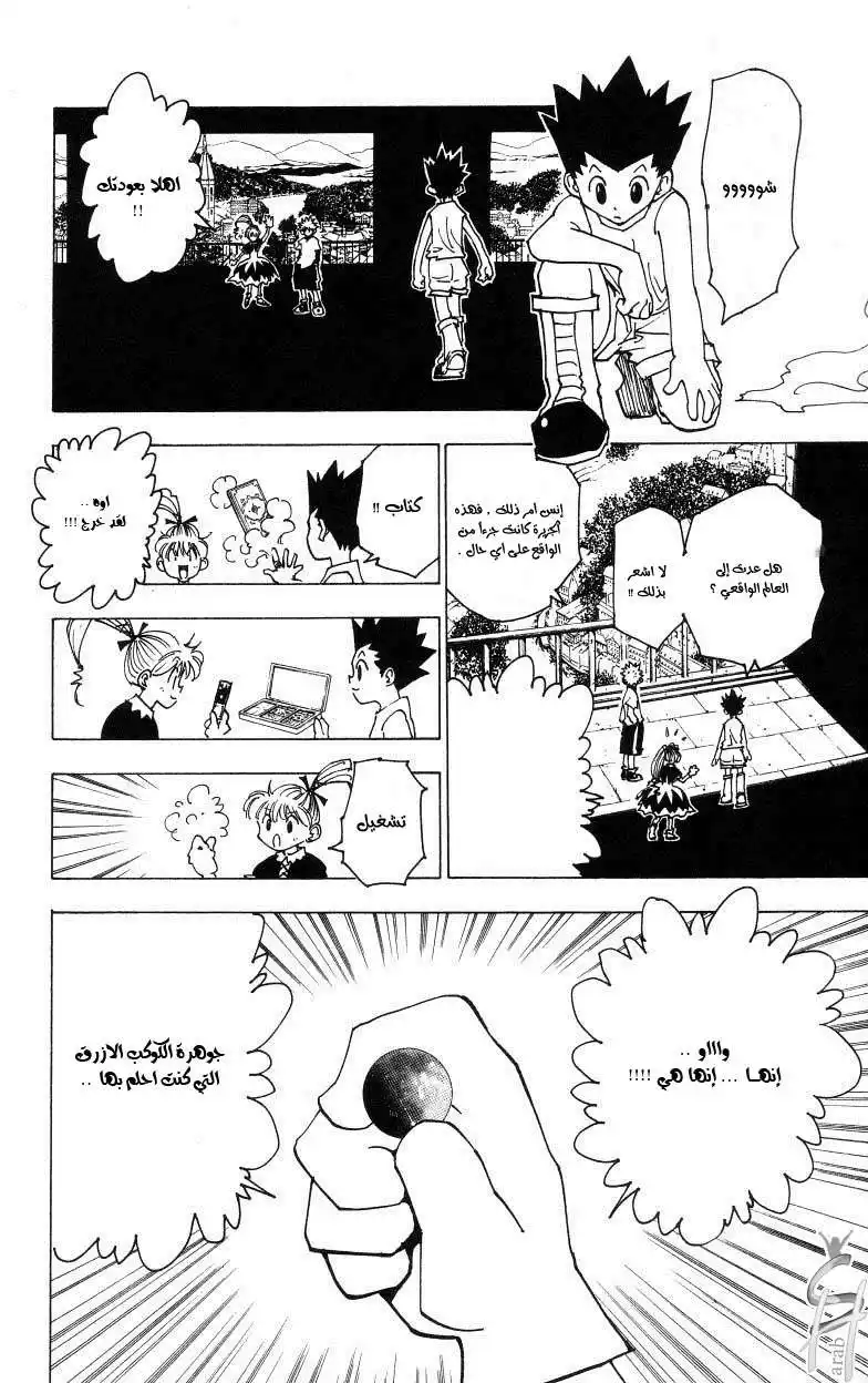 Hunter X Hunter 185 - Chance Meeting página 3