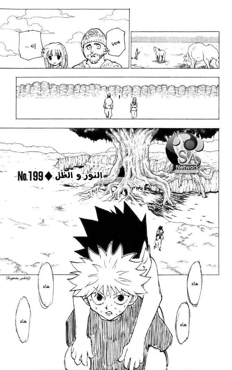 Hunter X Hunter 199 - Light and Shadow página 2