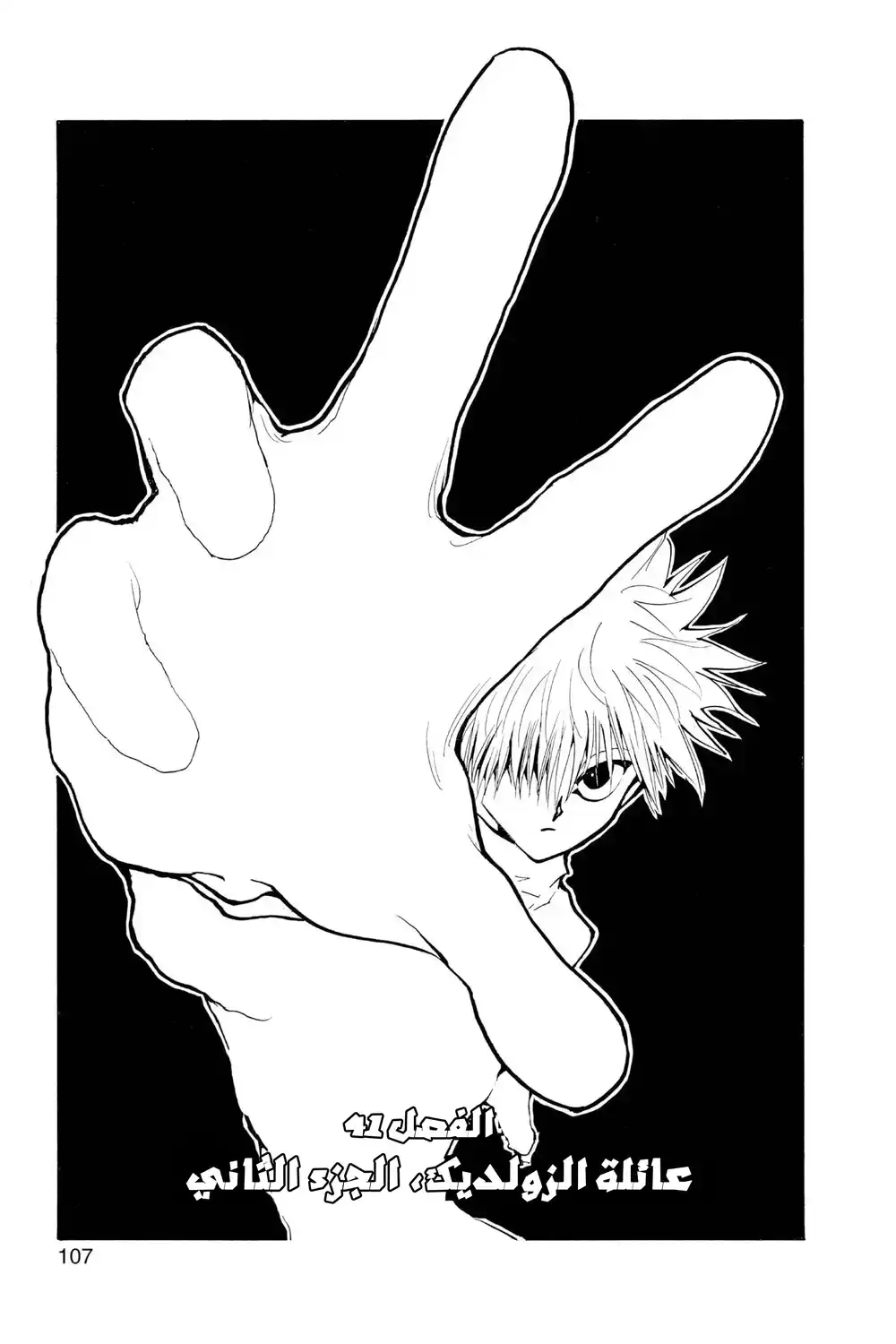 Hunter X Hunter 41 - الزولديك، الجزء الثاني página 3