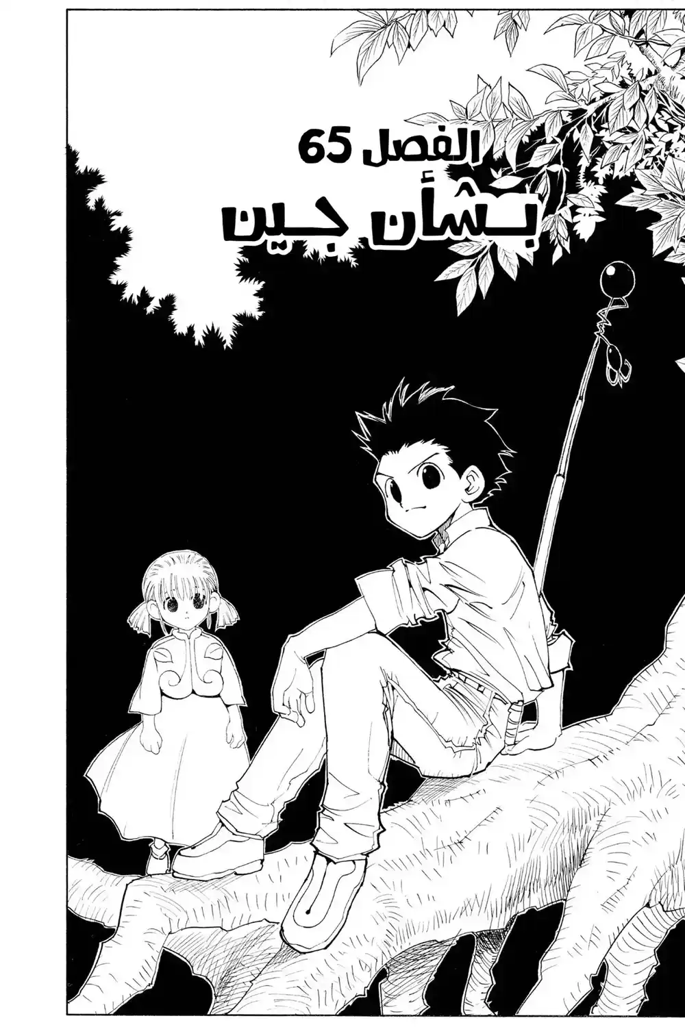 Hunter X Hunter 65 - بشأن جين página 2