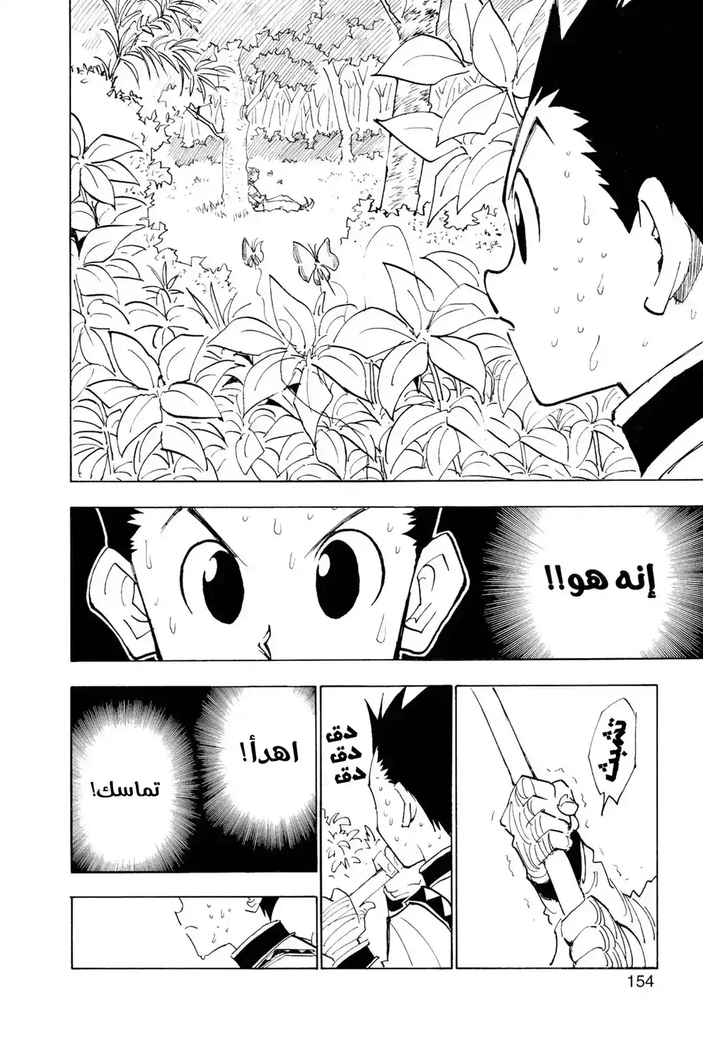 Hunter X Hunter 25 - اليوم الثاني página 10