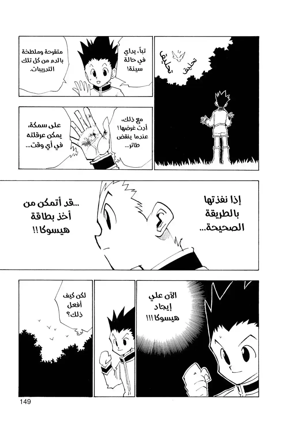 Hunter X Hunter 25 - اليوم الثاني página 5