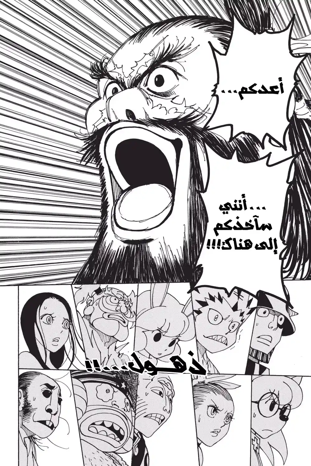 Hunter X Hunter 340 - مهمة خاصة página 12