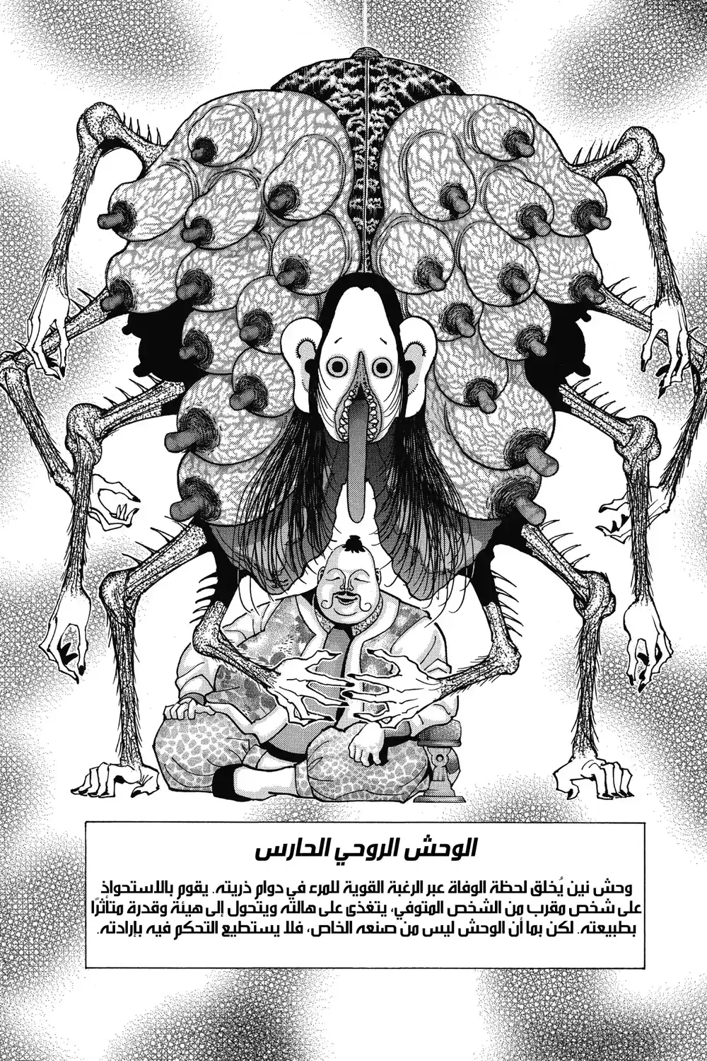 Hunter X Hunter 349 - تسمم página 12