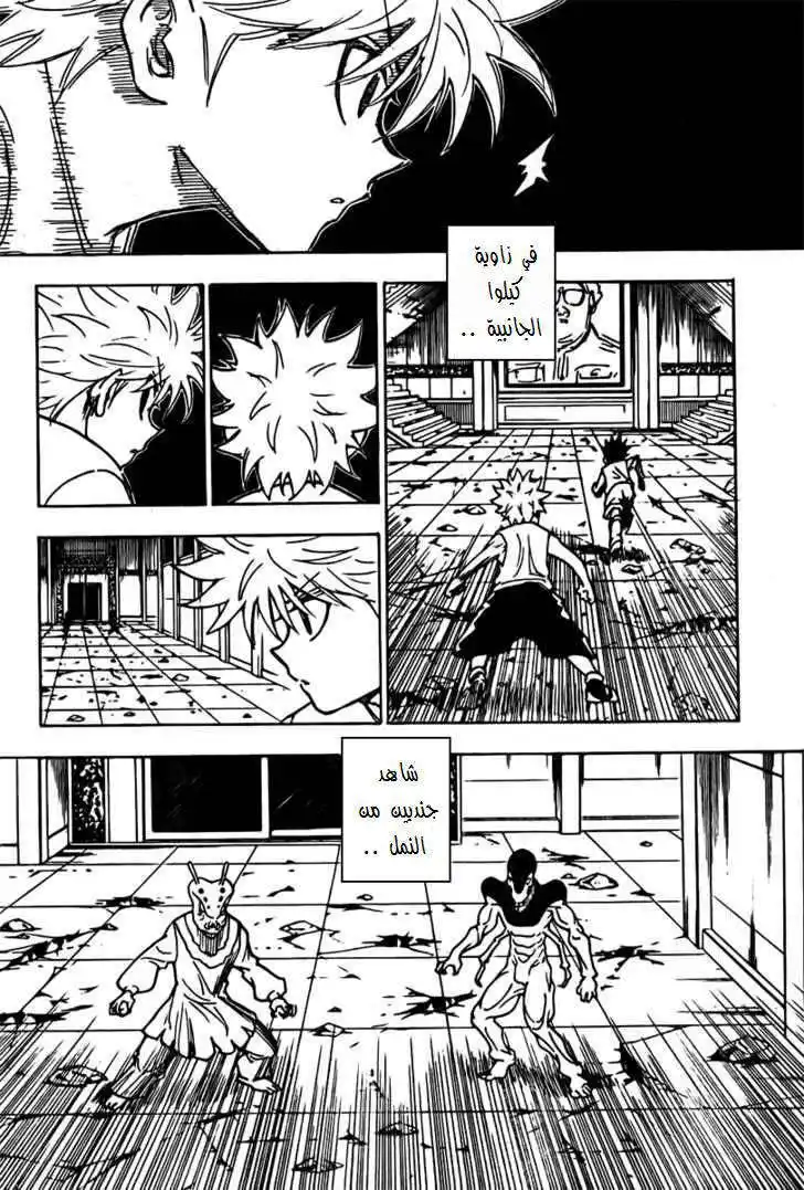 Hunter X Hunter 269 - Adversity Is a Good Thing página 10