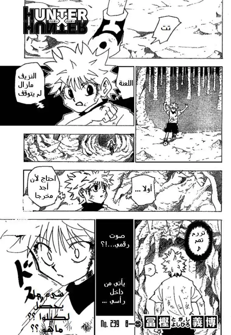 Hunter X Hunter 239 - 8:  Part 5 página 2