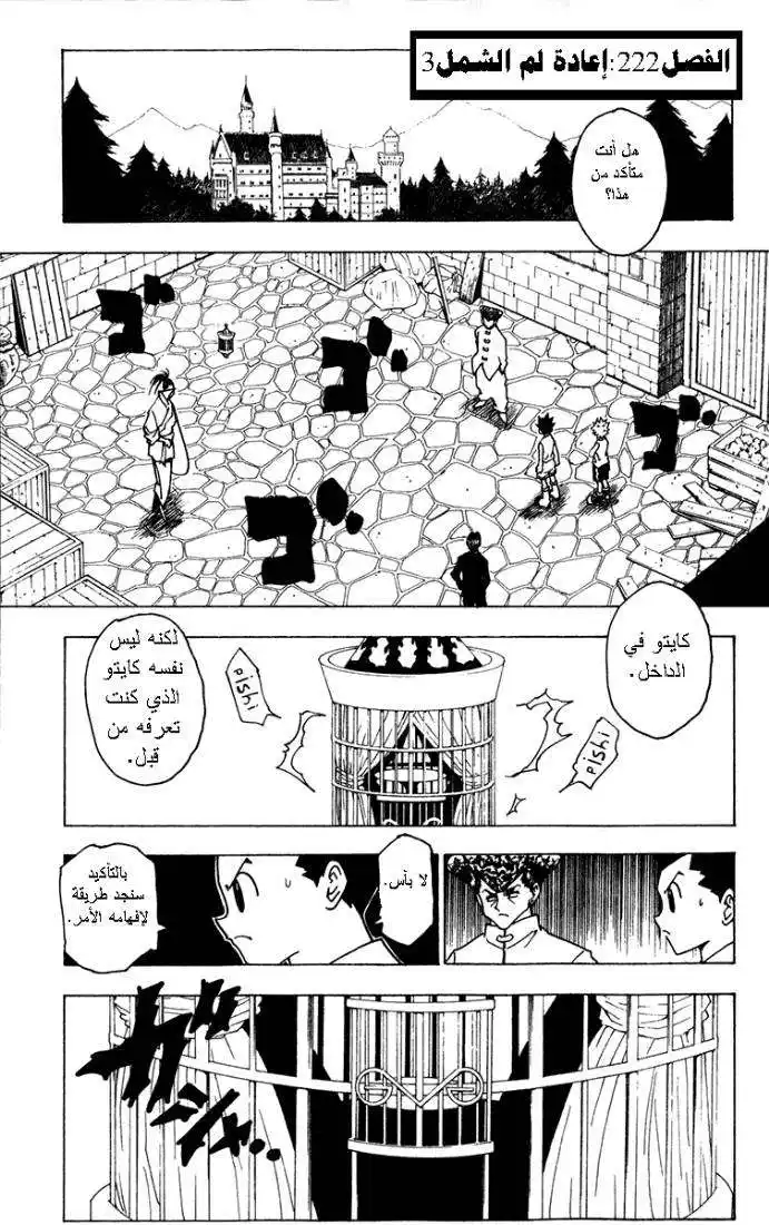 Hunter X Hunter 222 - Reunion: Part 3 página 1