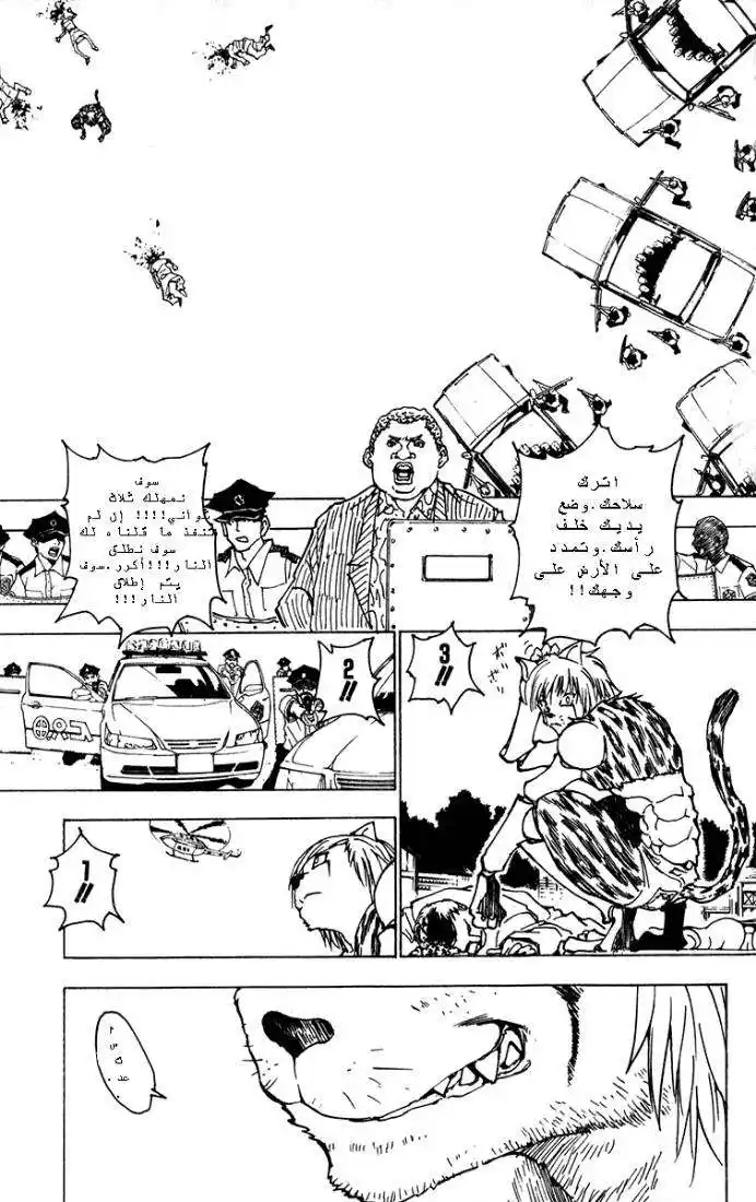 Hunter X Hunter 218 - Confession página 3
