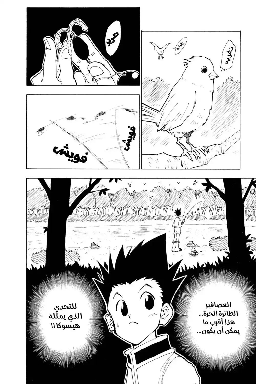 Hunter X Hunter 24 - دراسة مكثفة página 16