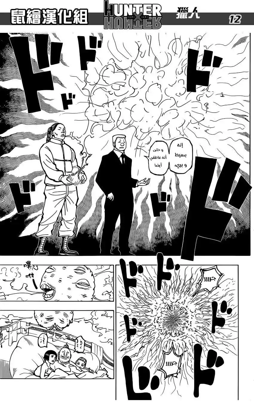 Hunter X Hunter 381 - افتراس página 12