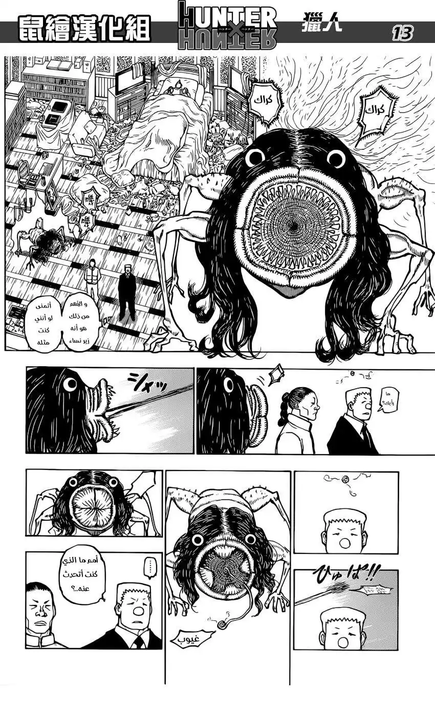 Hunter X Hunter 381 - افتراس página 13