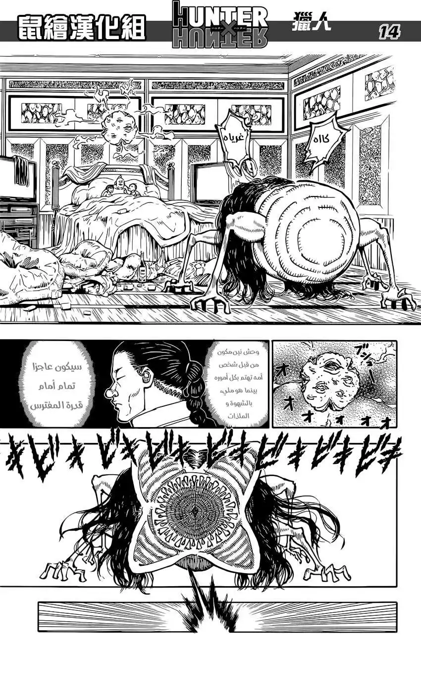 Hunter X Hunter 381 - افتراس página 14