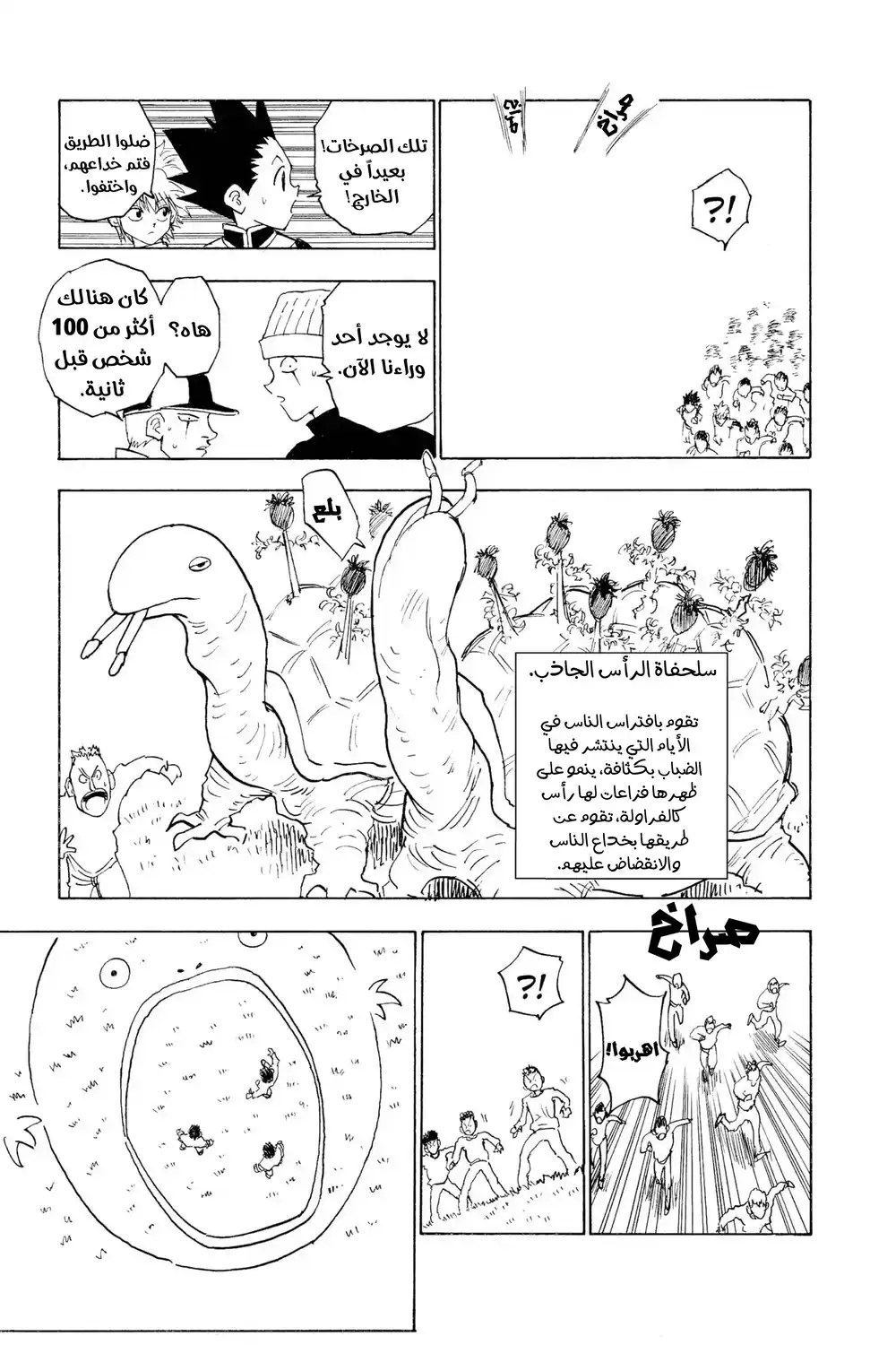 Hunter X Hunter 8 - عدو آخر página 17
