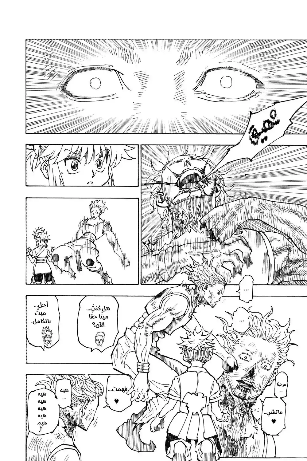 Hunter X Hunter 357 - خيبةُ آمل 2 página 12