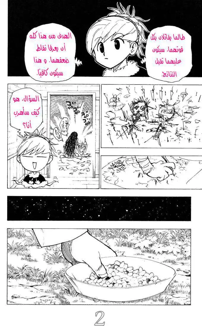 Hunter X Hunter 206 - Victory Or Defeat página 2
