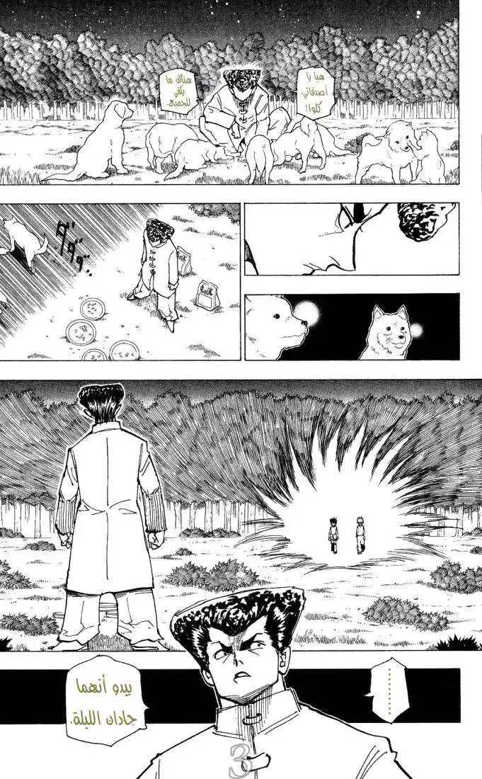 Hunter X Hunter 206 - Victory Or Defeat página 3
