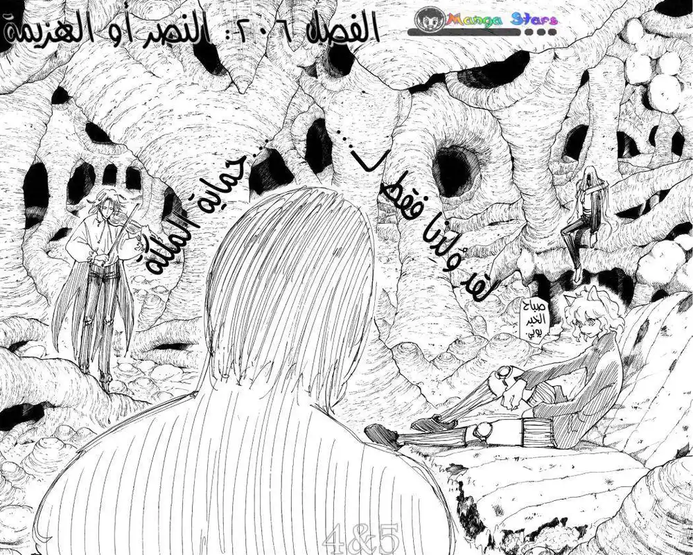 Hunter X Hunter 206 - Victory Or Defeat página 4
