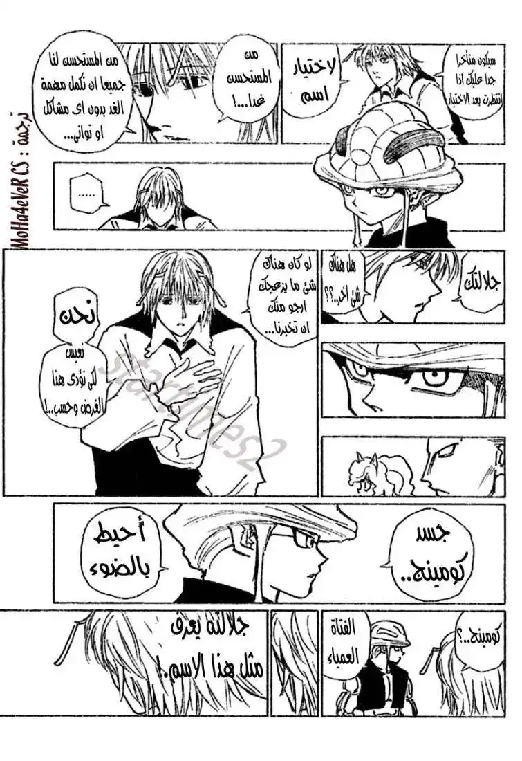 Hunter X Hunter 257 - 1: Part 1 página 11