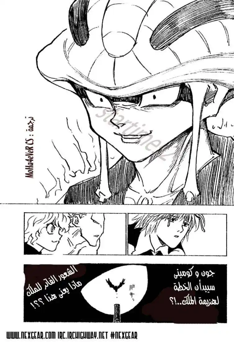 Hunter X Hunter 257 - 1: Part 1 página 15