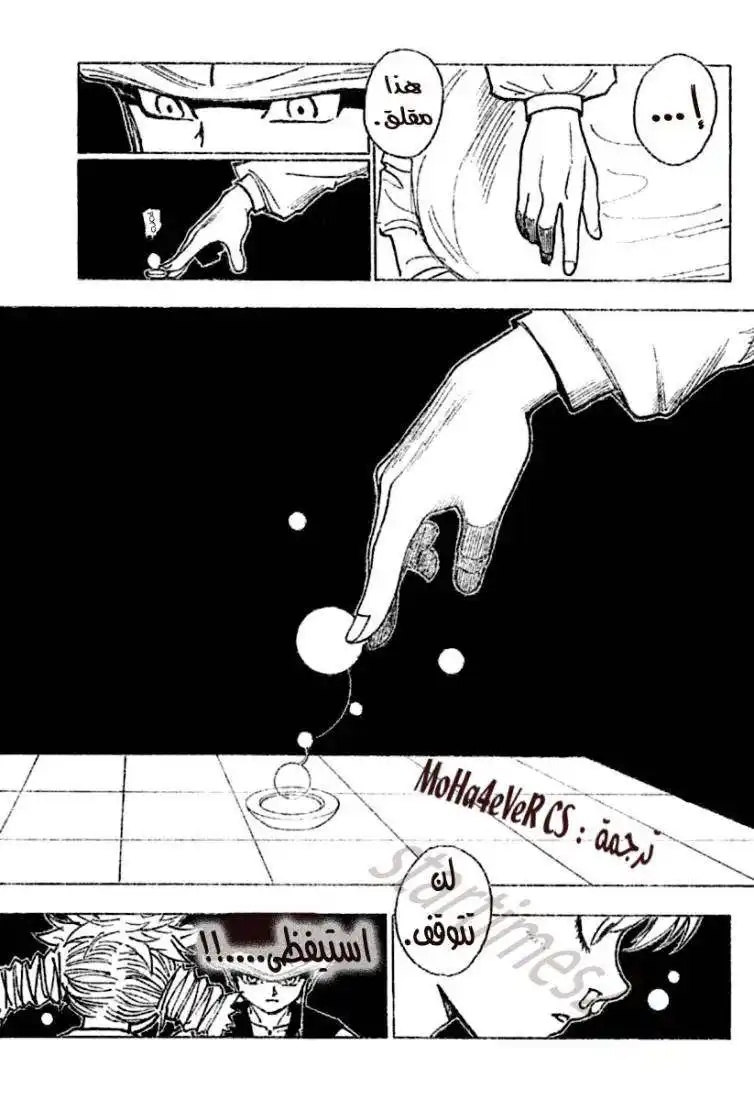 Hunter X Hunter 257 - 1: Part 1 página 3