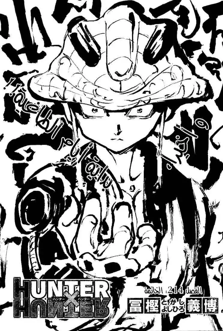 Hunter X Hunter 214 - Decision página 2